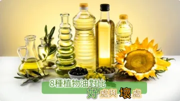 8種食用油比較好處壞處：橄欖油，花生油，芥花籽油，葵花籽油，葡萄籽油，粟米油，米糠油，調和油您選對了嗎？