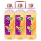 寶鼎純正芥花籽油-3X900ML